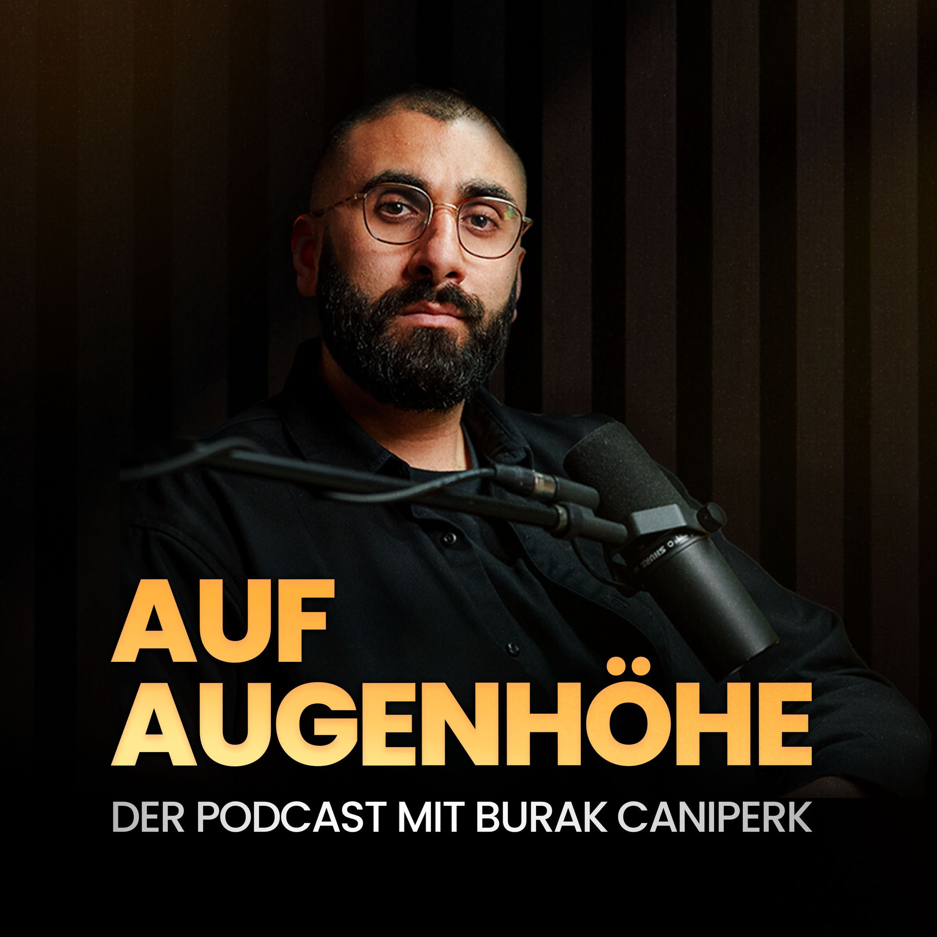 Show cover of Auf Augenhöhe