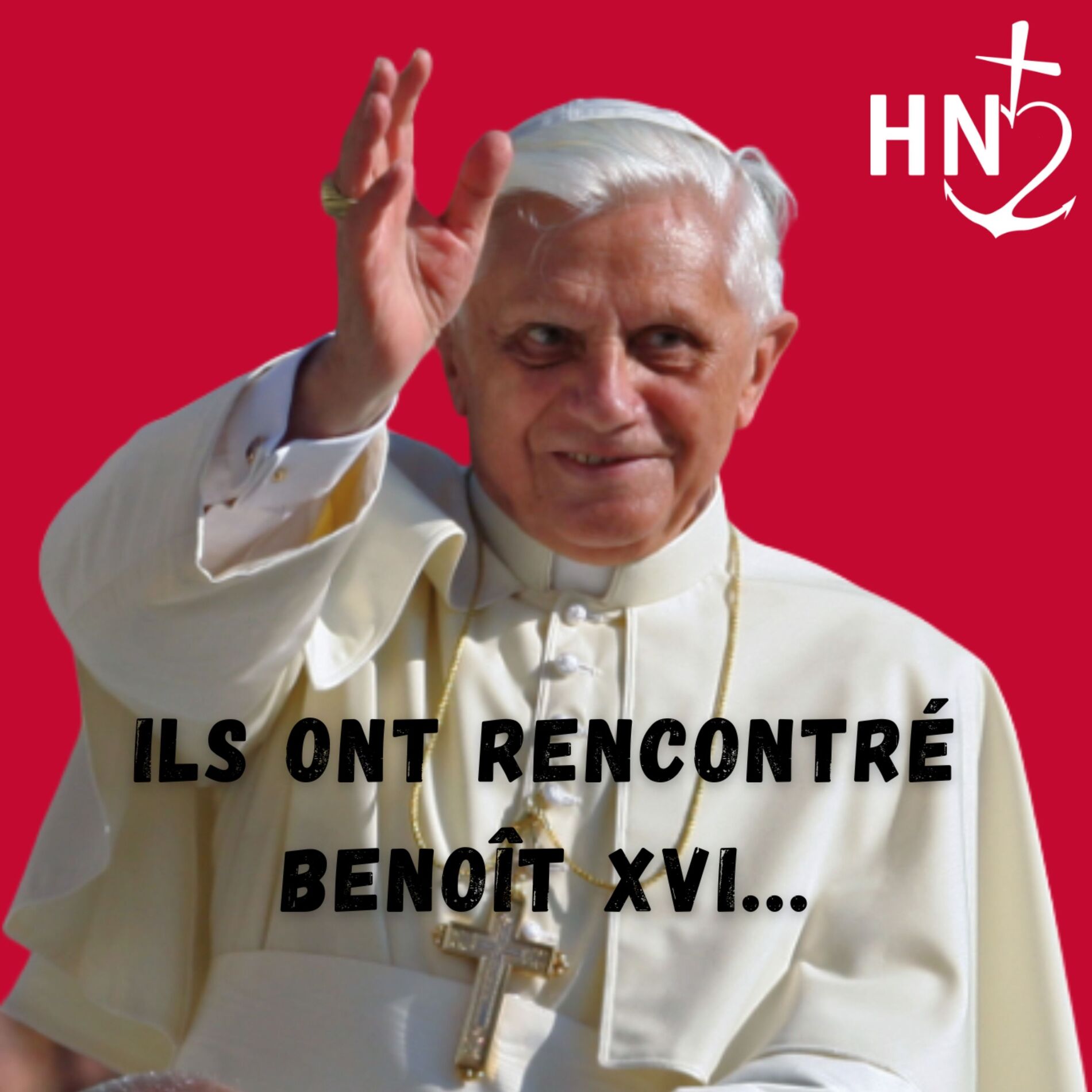 Show cover of Ils ont rencontré Benoît XVI...