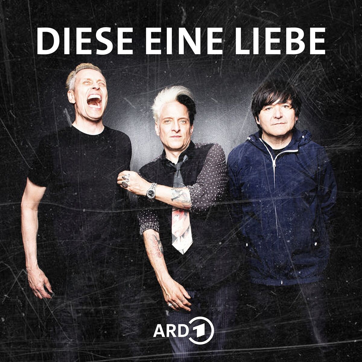 Show cover of Diese eine Liebe - 40 Jahre Die Ärzte