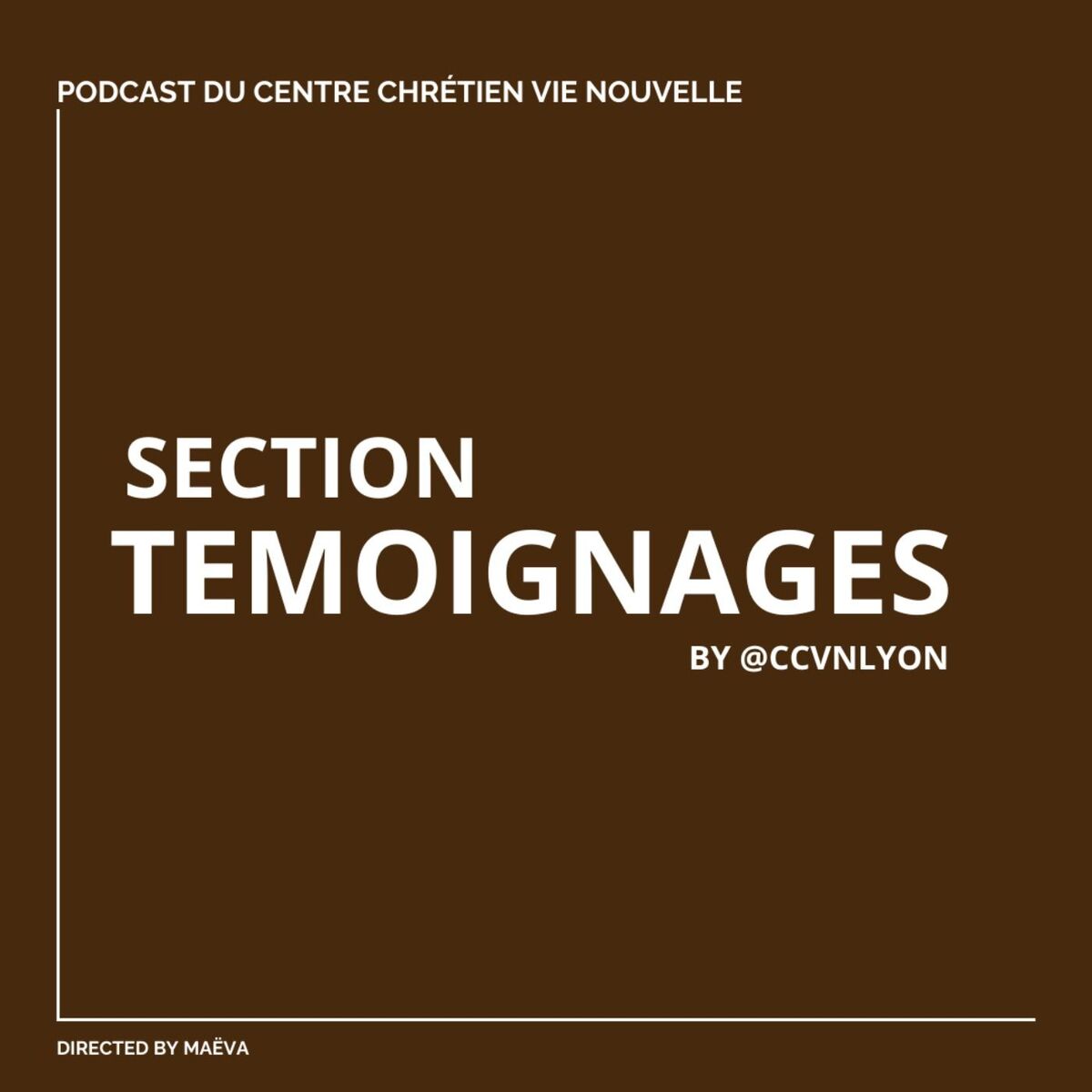 Show cover of Section Témoignage by CCVN Lyon