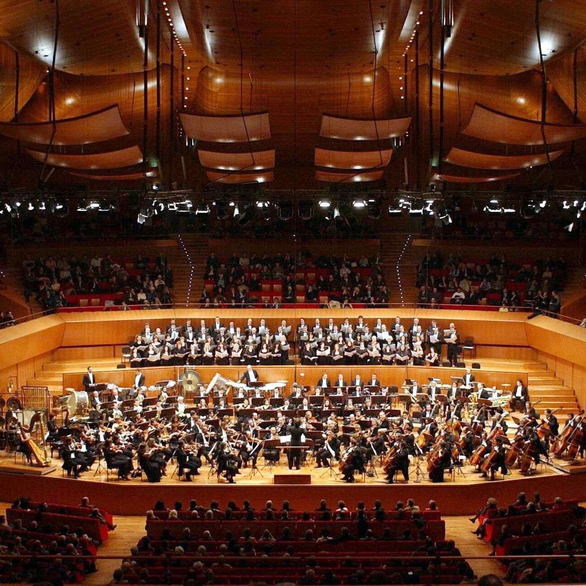Show cover of Auditorium