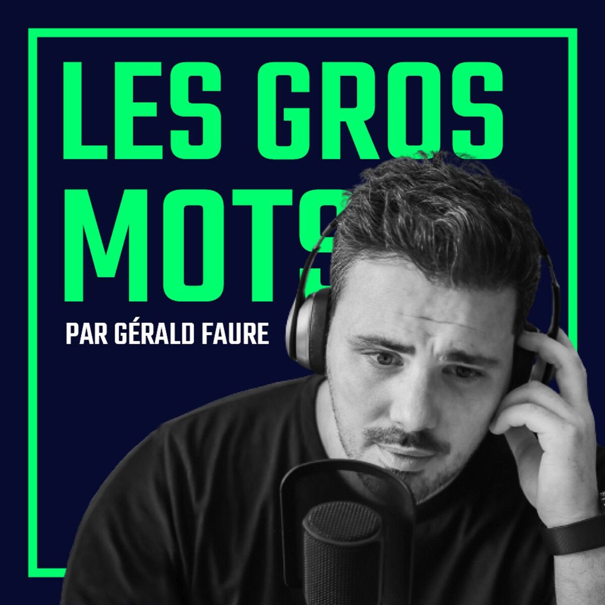 Show cover of LES GROS MOTS, par Gérald Faure