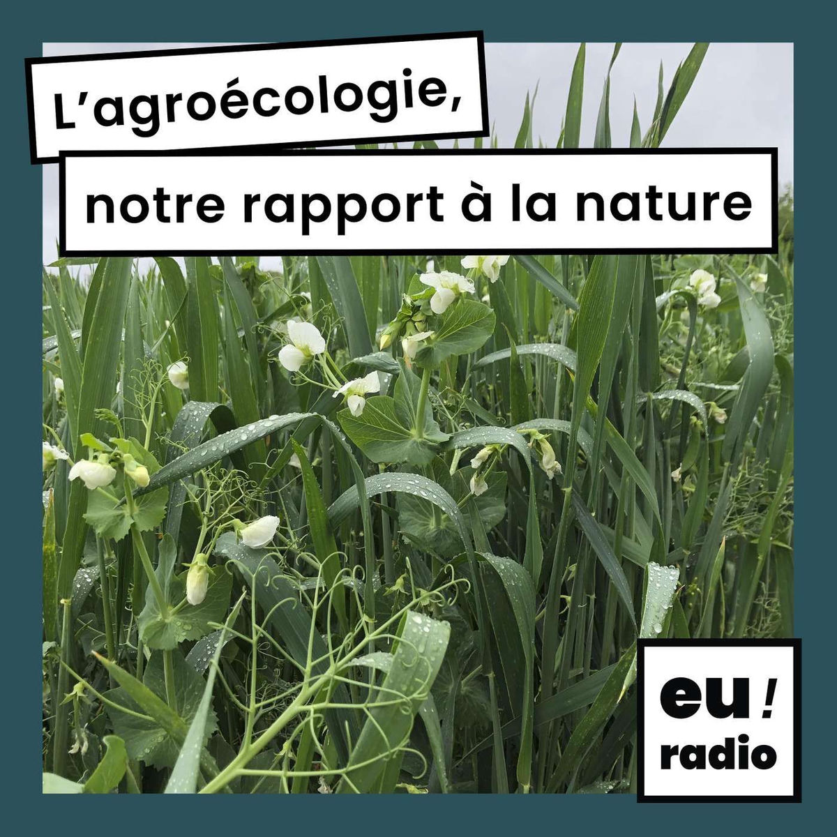 Show cover of L'agroécologie, notre rapport à la nature