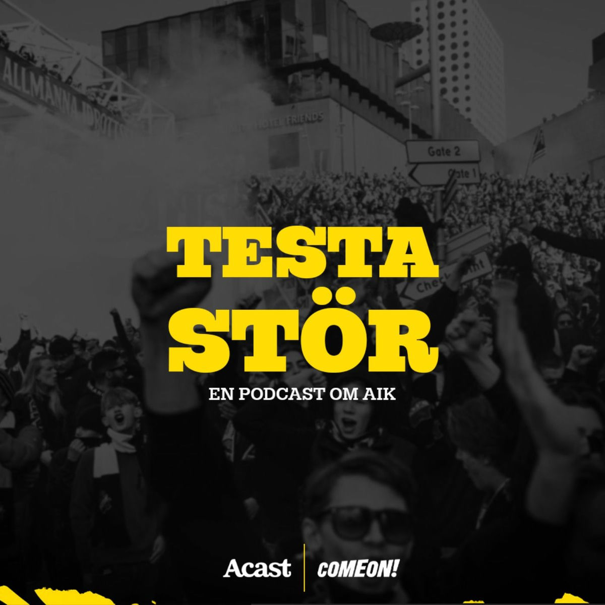 Show cover of Testa Stör