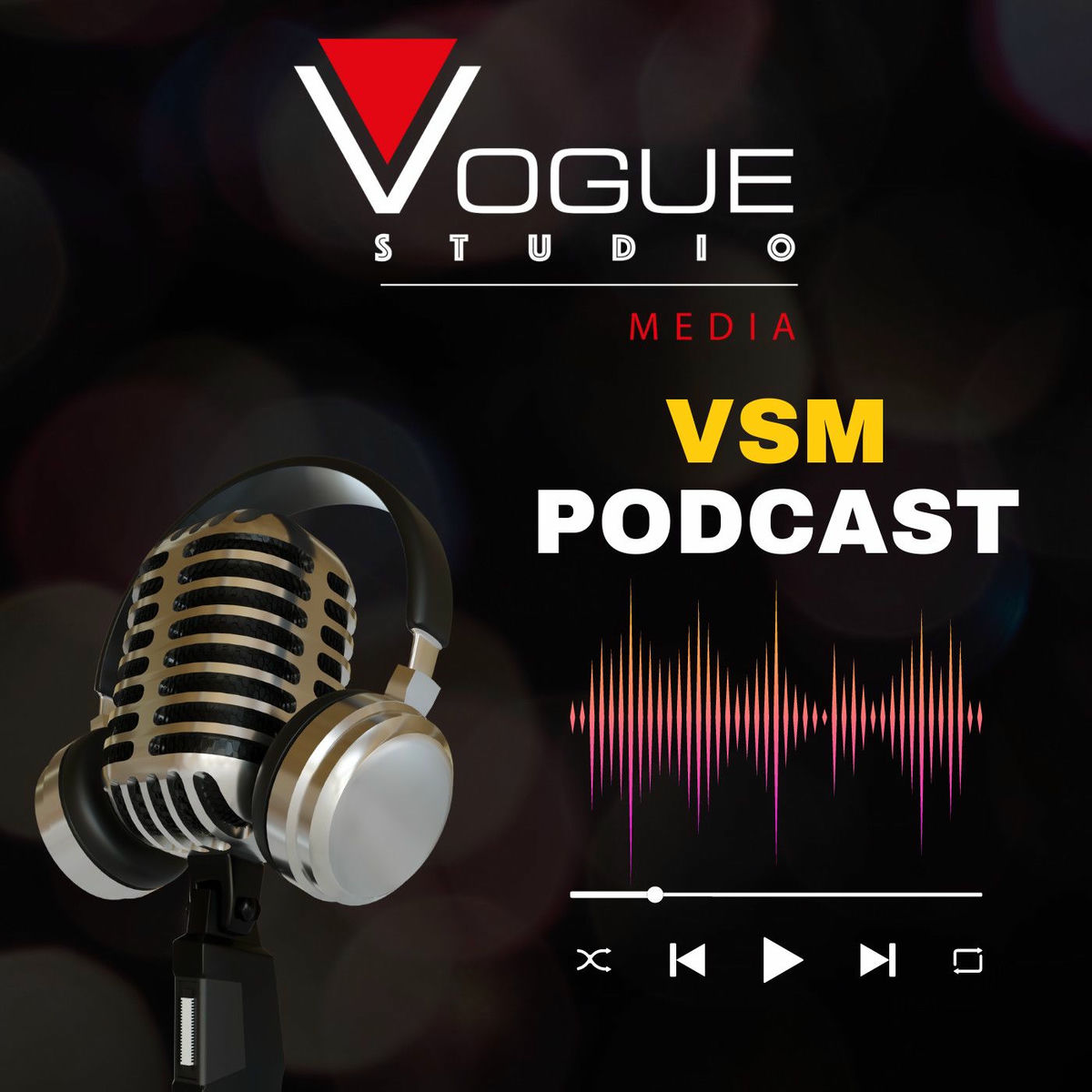 Show cover of VSM PODCASTS