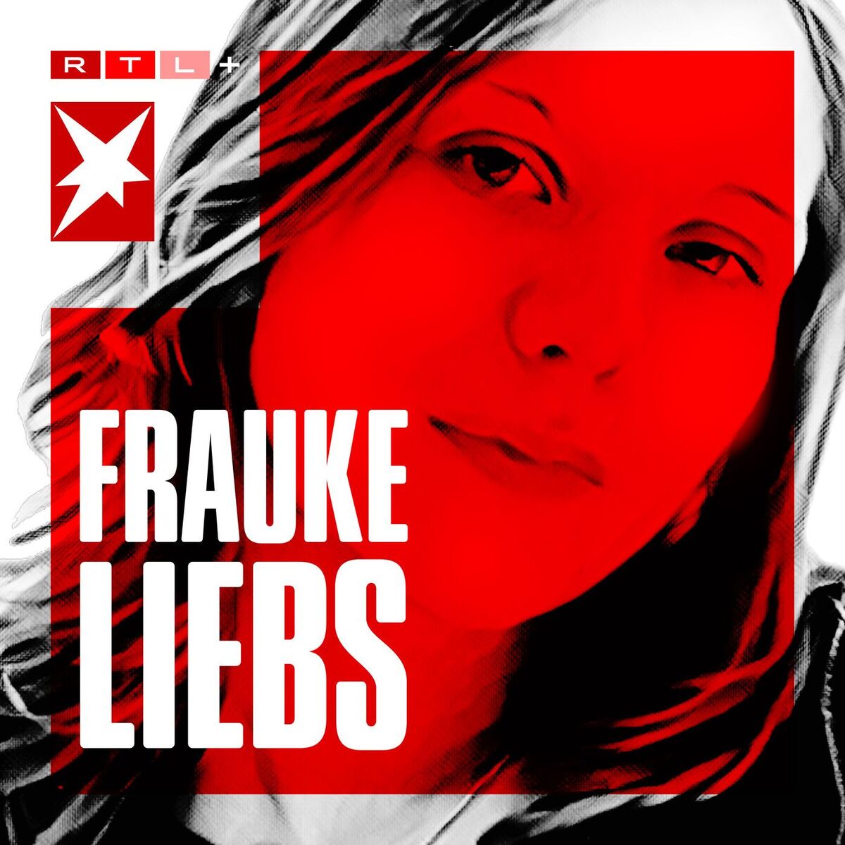 Show cover of Frauke Liebs - Die Suche nach dem Mörder