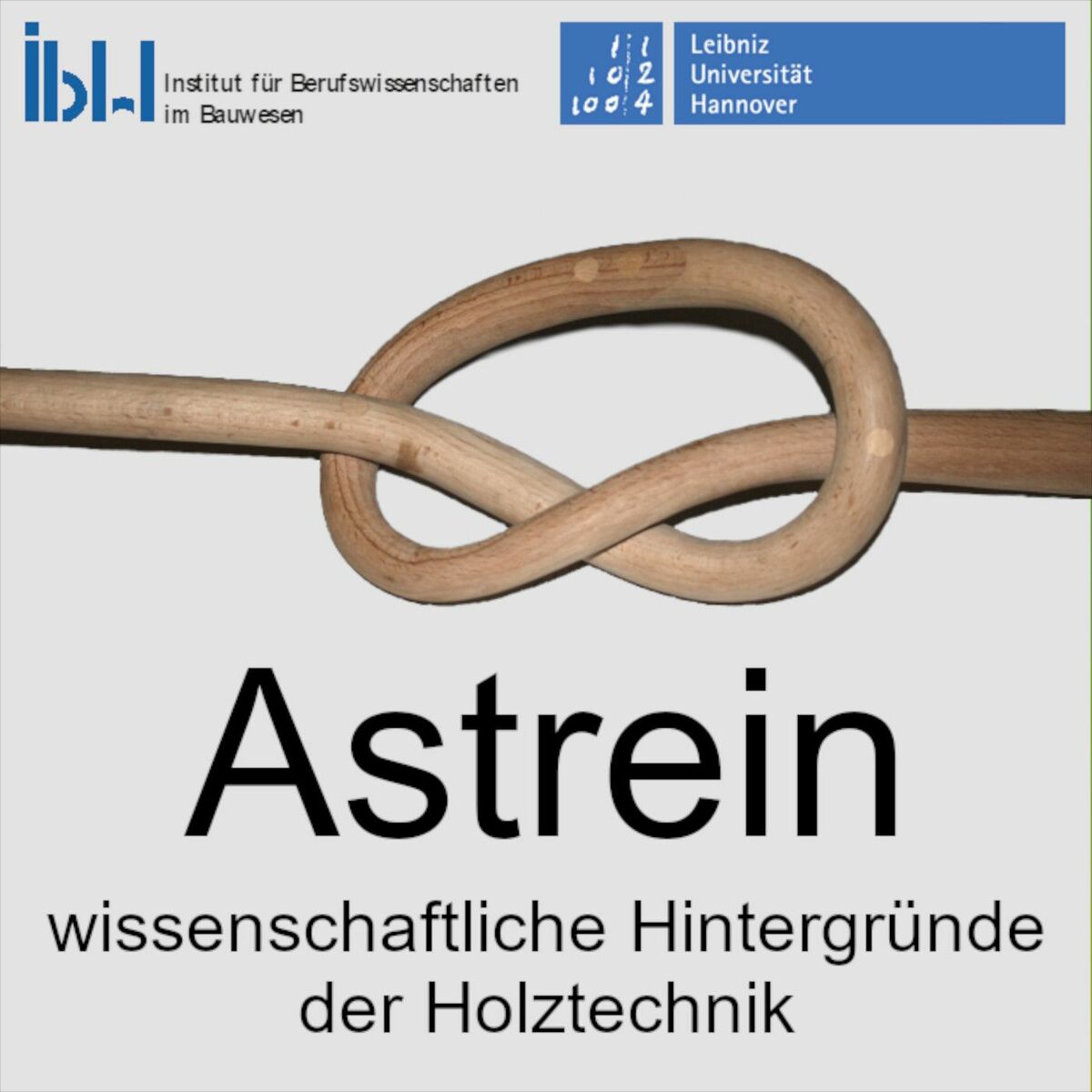 Show cover of Astrein - wissenschaftliche Hintergründe der Holztechnik