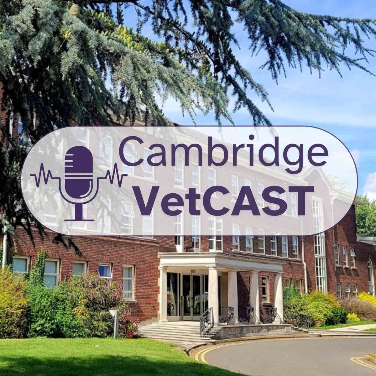 Show cover of Cambridge VetCAST