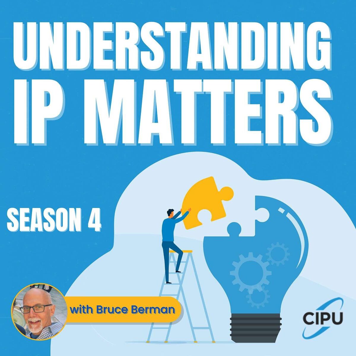 Show cover of Understanding IP Matters