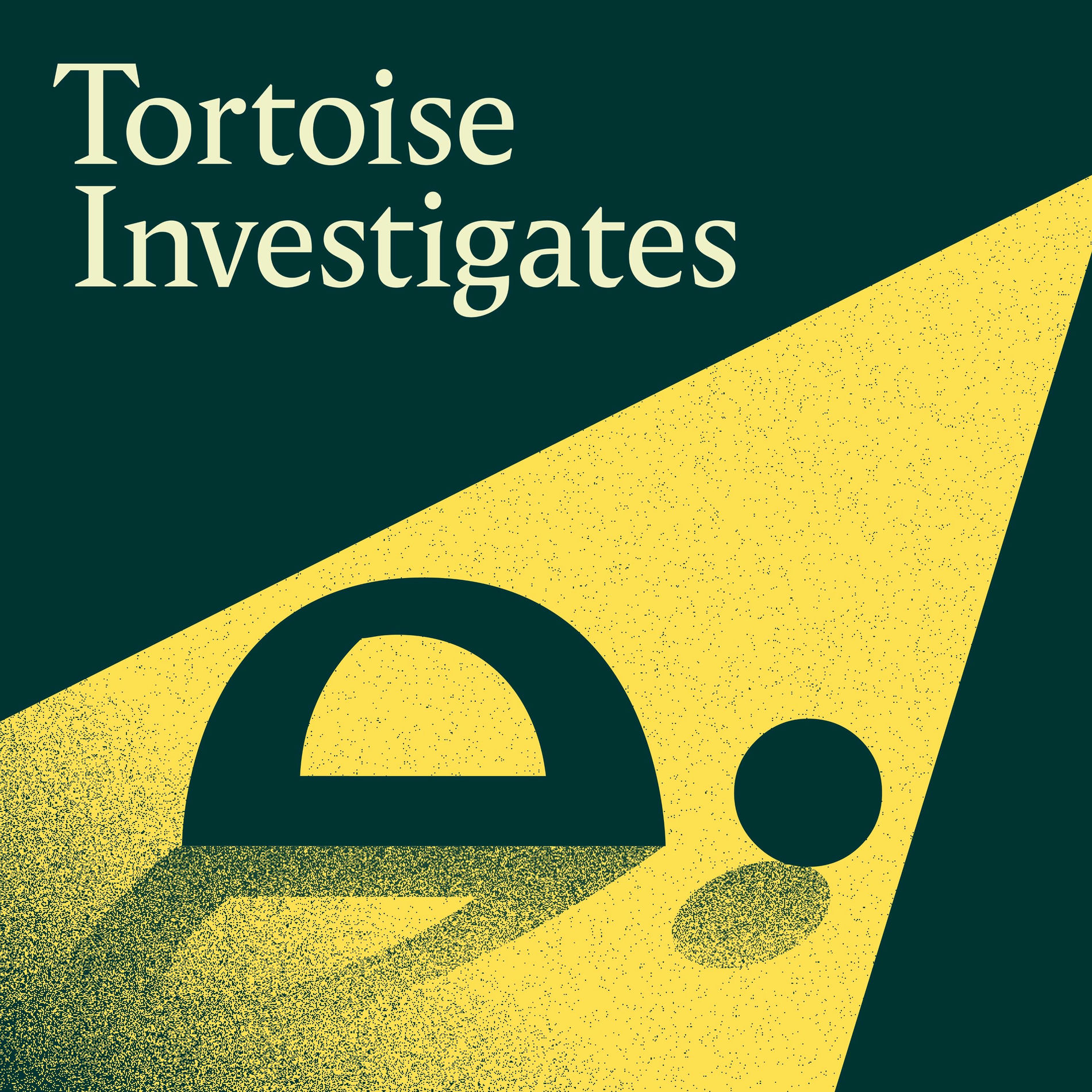 Show cover of Tortoise Investigates