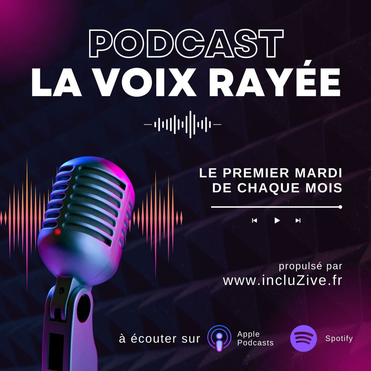 Show cover of La voix rayée