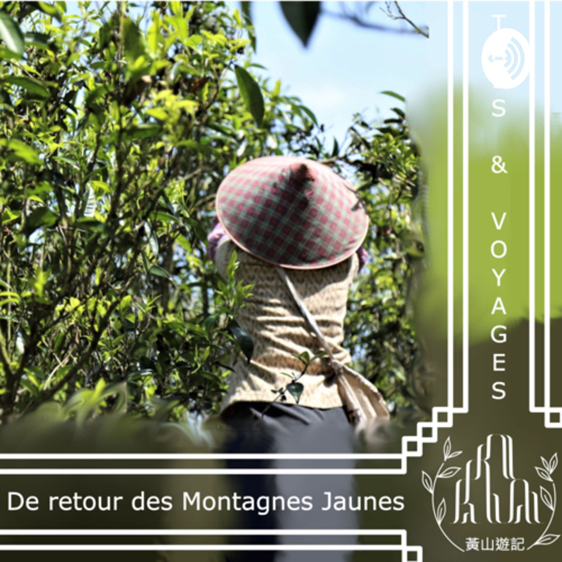 Show cover of De retour des montagnes jaunes
