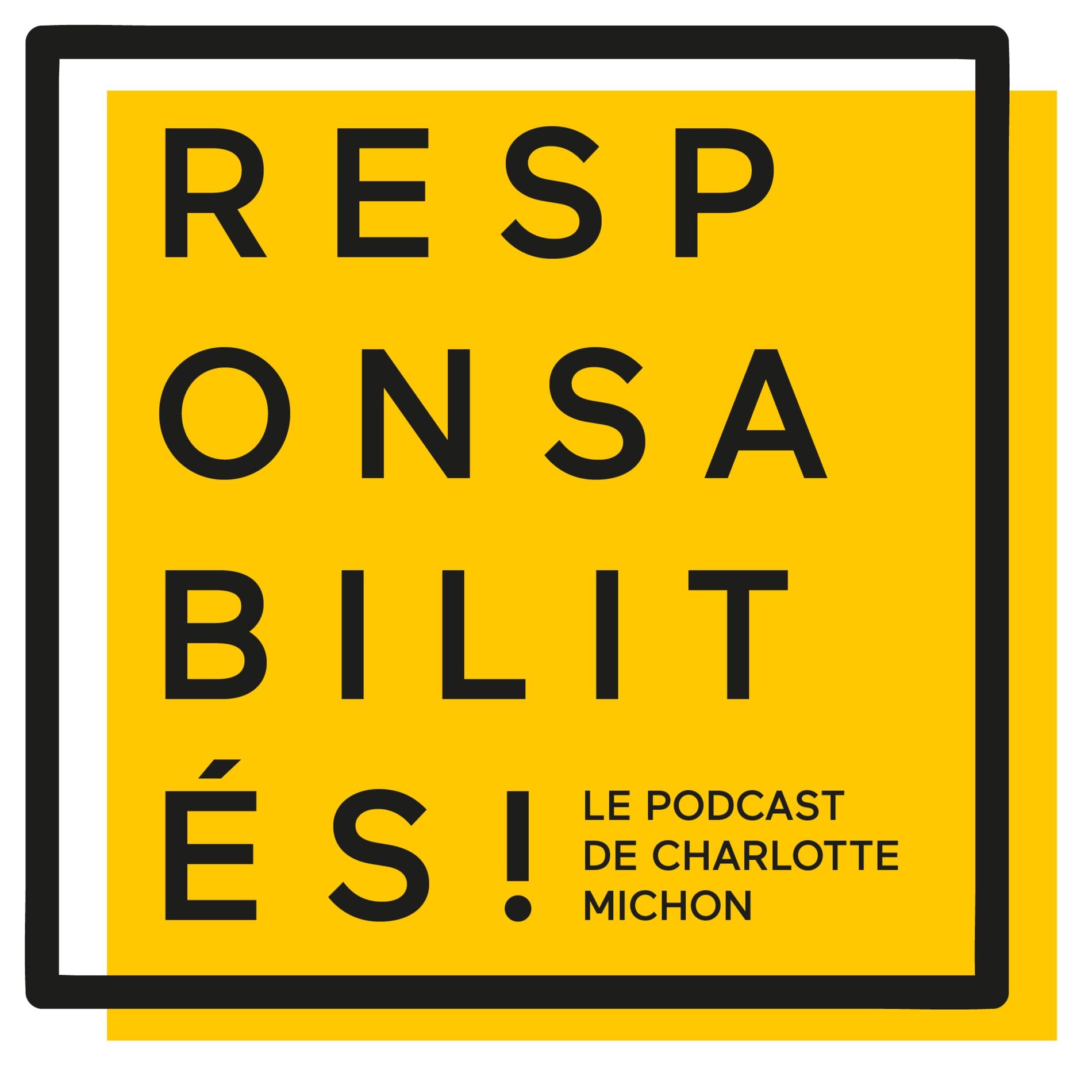 Show cover of Responsabilités !