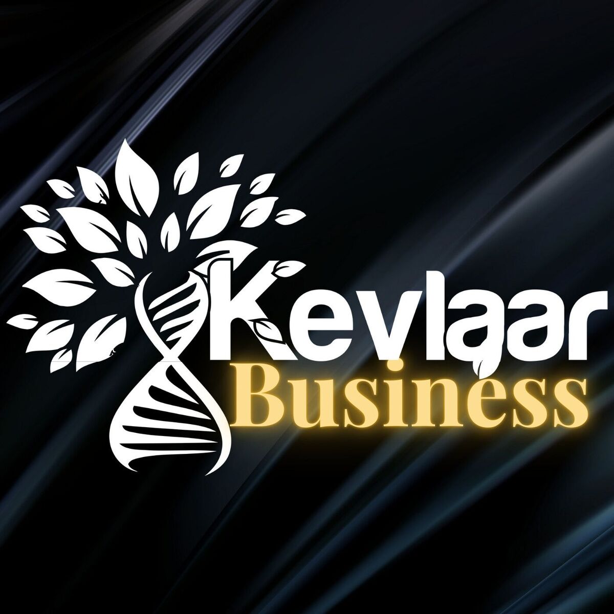 Show cover of Kevlaar Business