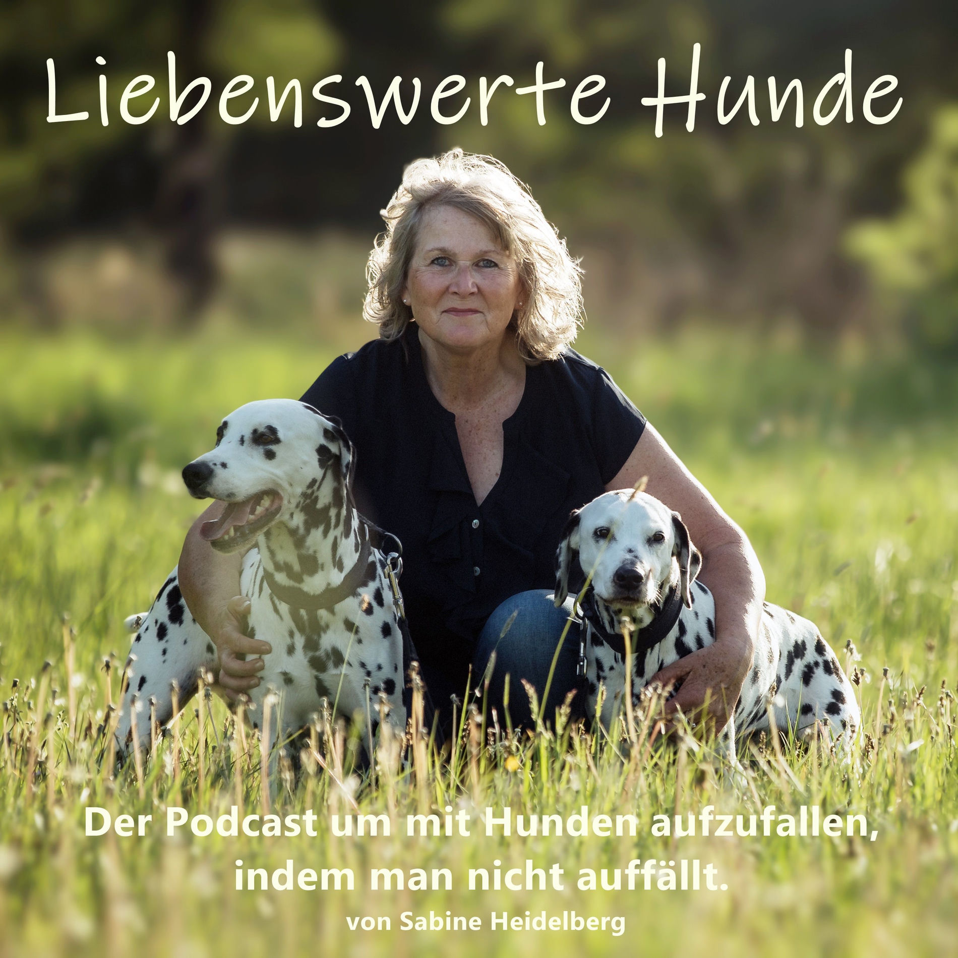 Show cover of Liebenswerte Hunde - Mit Hunden auffallen, indem man nicht auffällt.