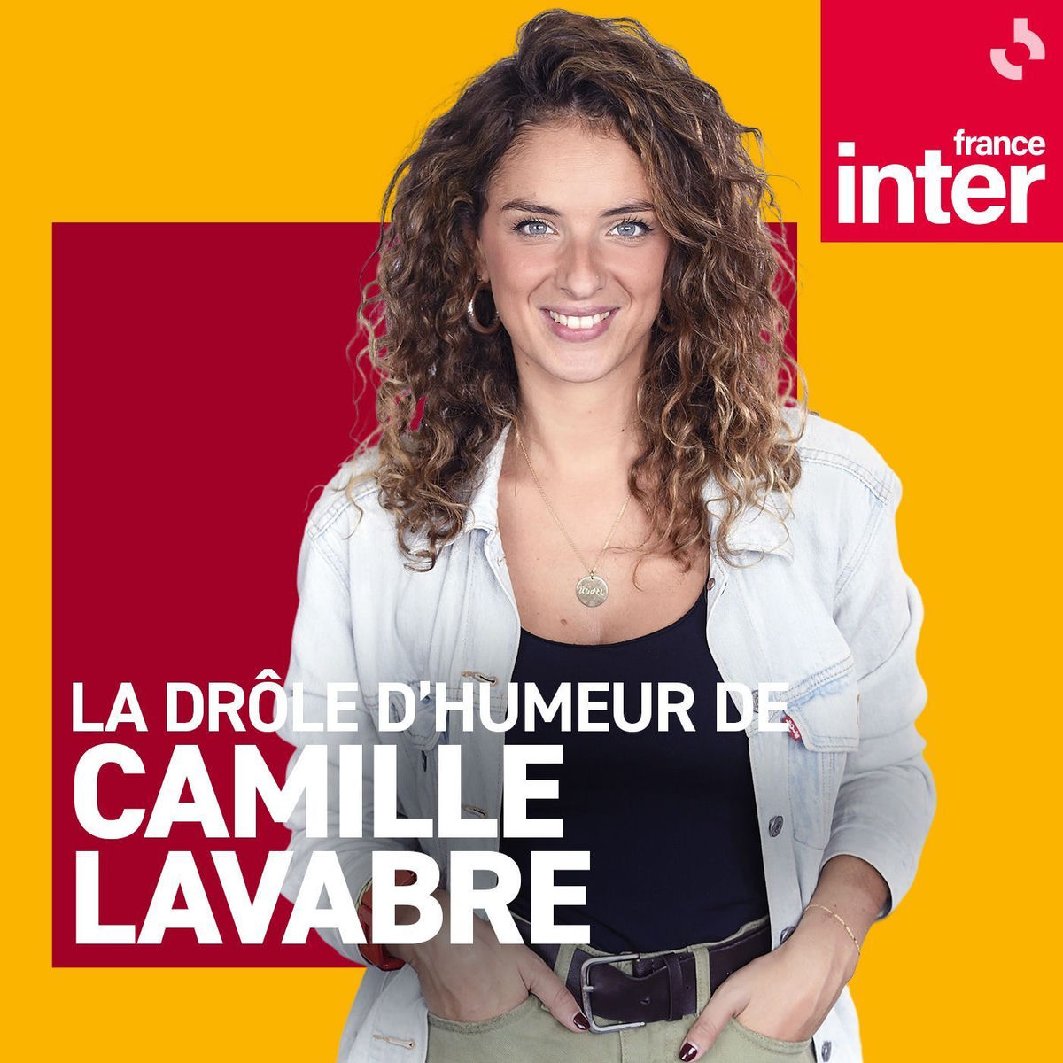 Show cover of La chronique de Camille Lavabre