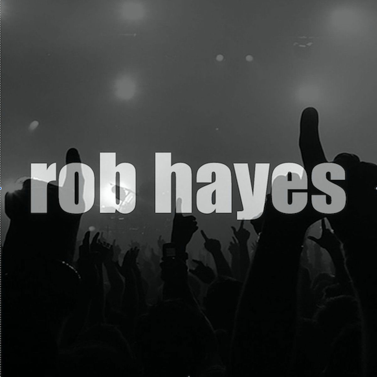 Show cover of Rob Hayes's House Music Podcast