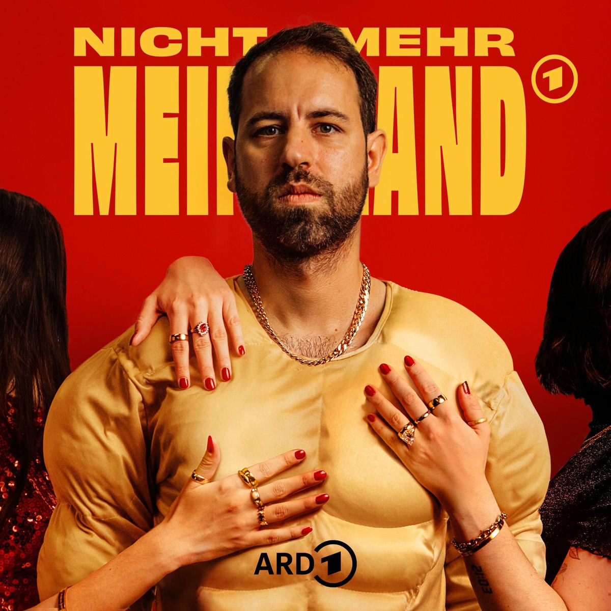 Show cover of Nicht Mehr Mein Land - In der Manosphere