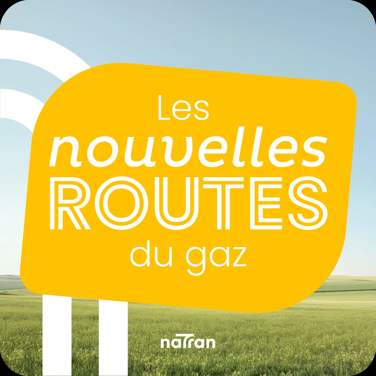 Show cover of Les nouvelles routes du gaz