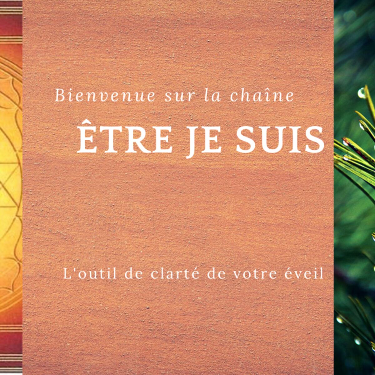 Show cover of L'Abondance, un processus de vie