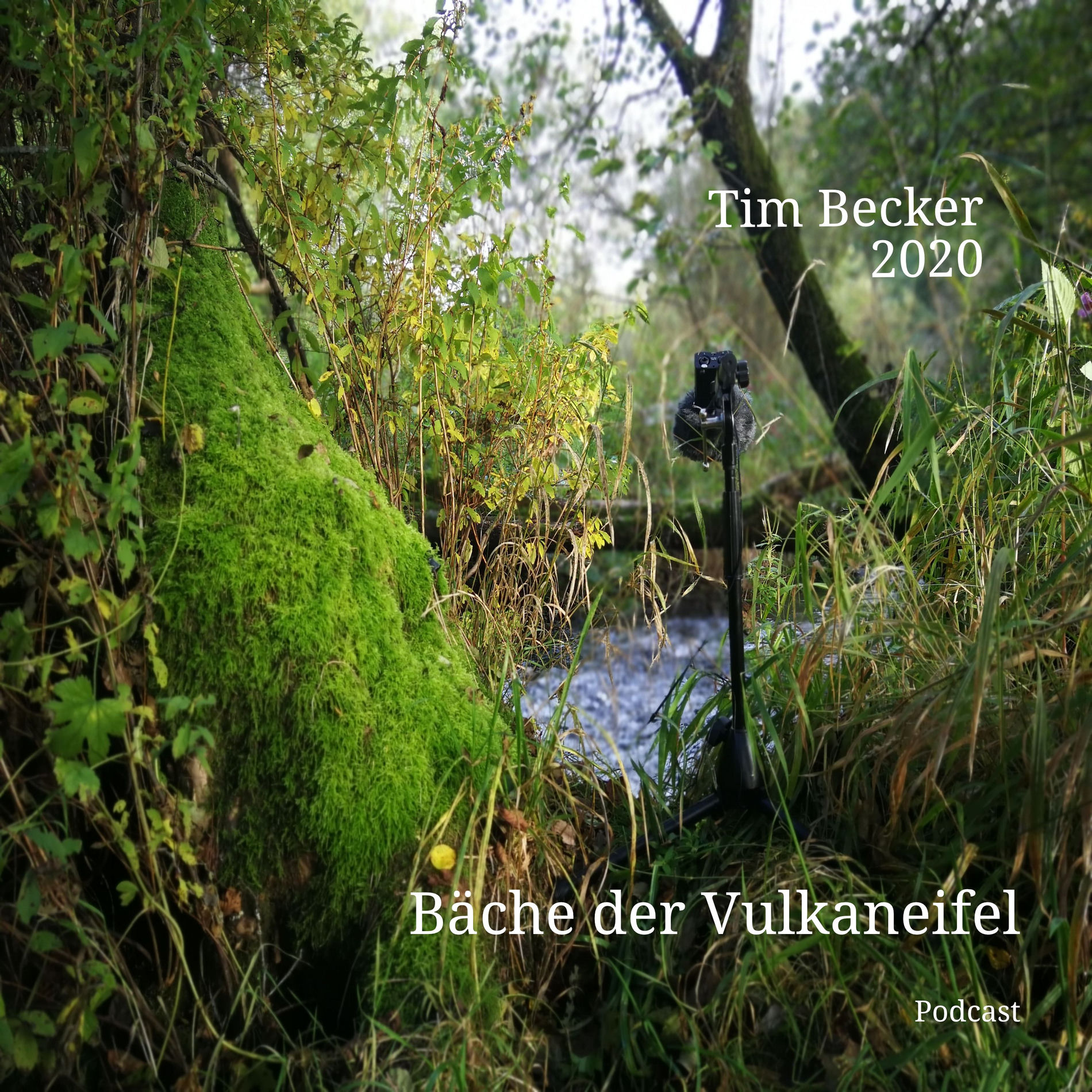 Show cover of Bäche der Vulkaneifel | Klänge