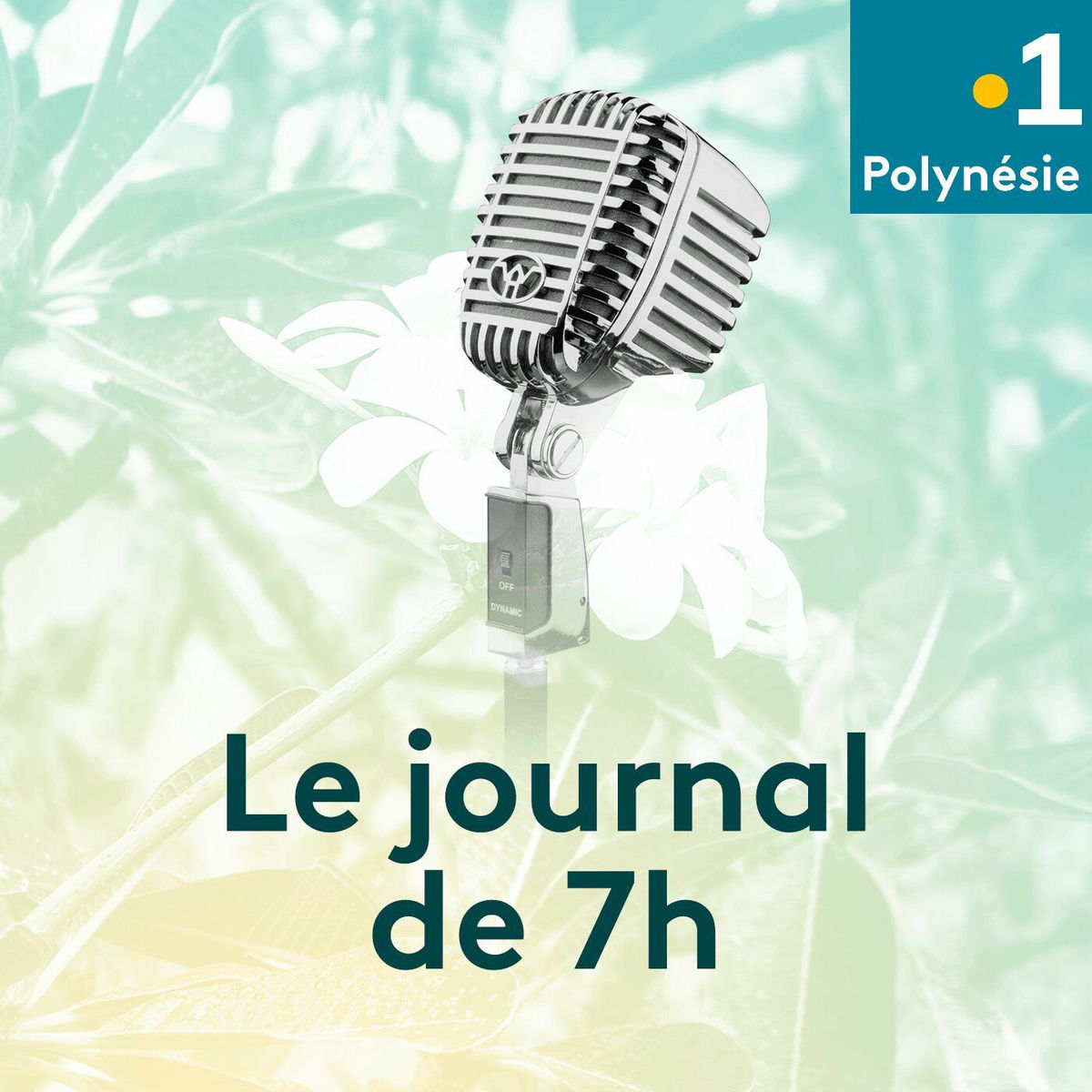 Show cover of Le journal de 7h - Polynésie