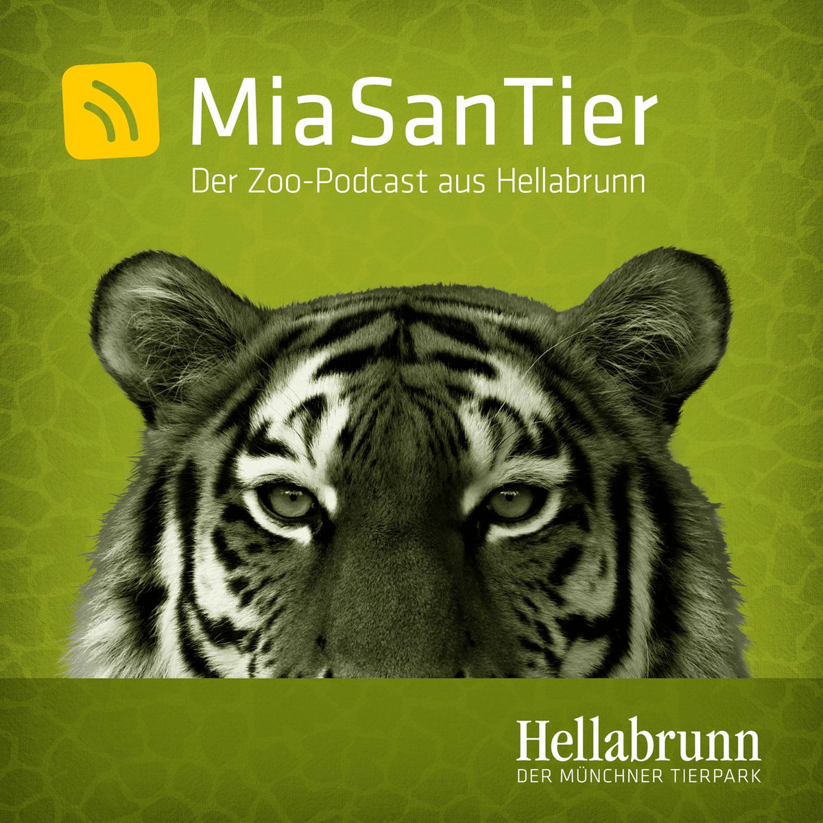 Show cover of Mia san Tier - Der Zoo-Podcast aus Hellabrunn