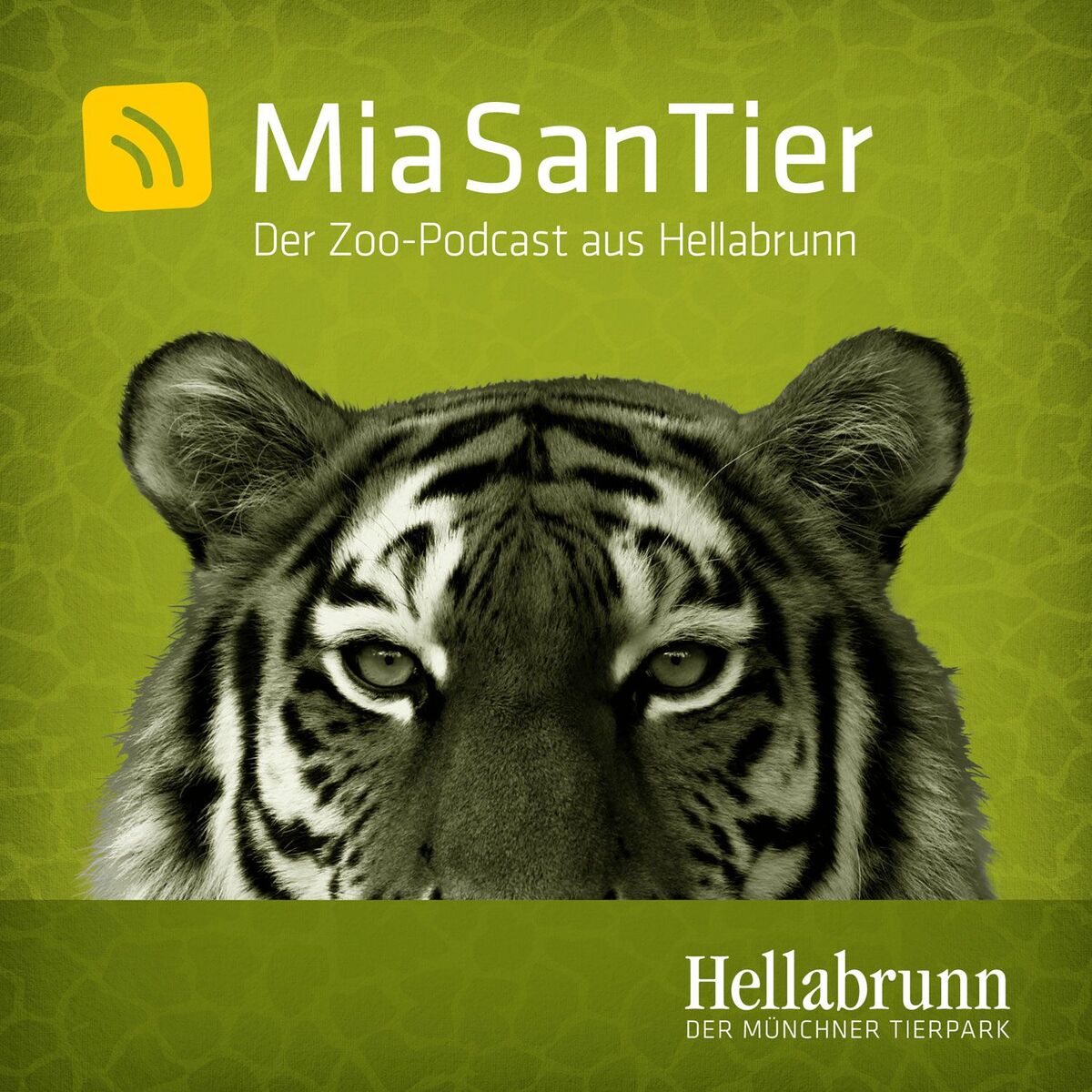 Show cover of Mia san Tier - Der Zoo-Podcast aus Hellabrunn