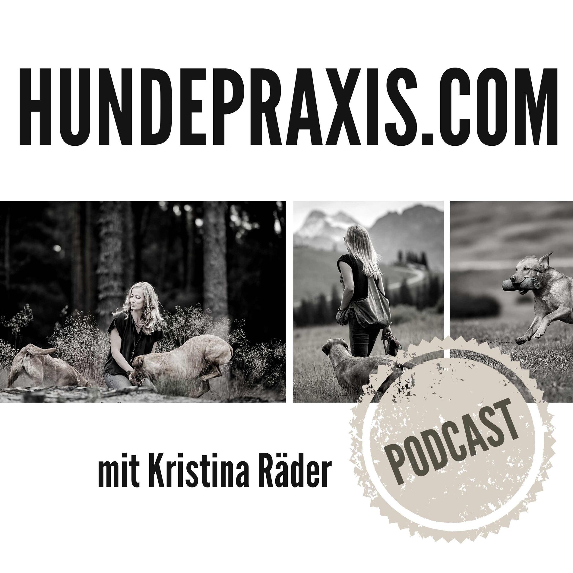 Show cover of Hundepraxis - der Podcast