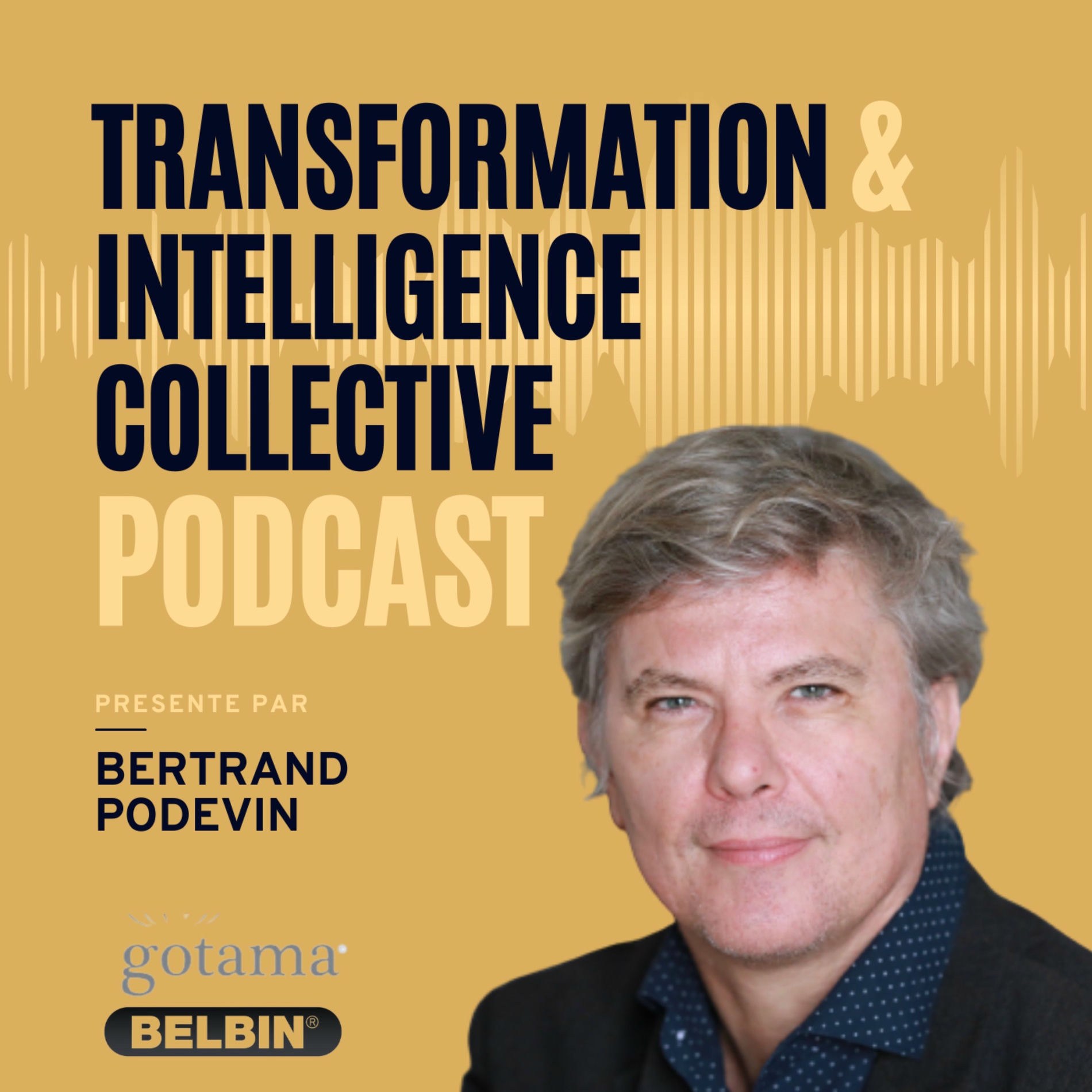 Show cover of Transformation et Intelligence collective