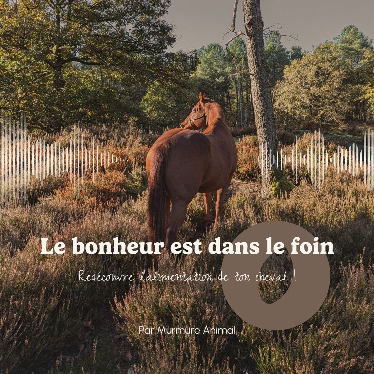 Show cover of Le Bonheur est dans le Foin - Simplifie l’alimentation de ton cheval !