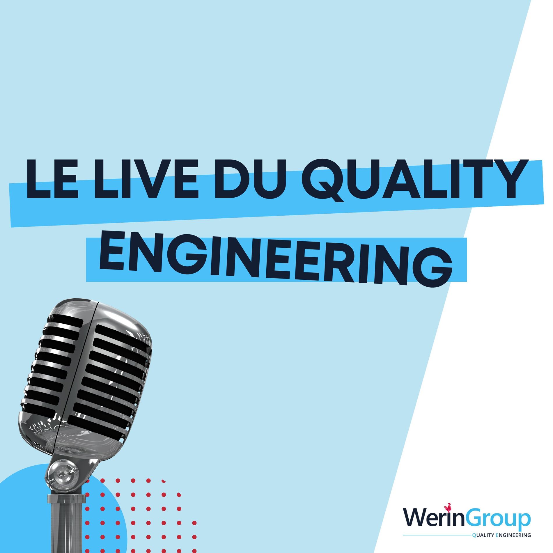 Show cover of Le live du Quality Engineering
