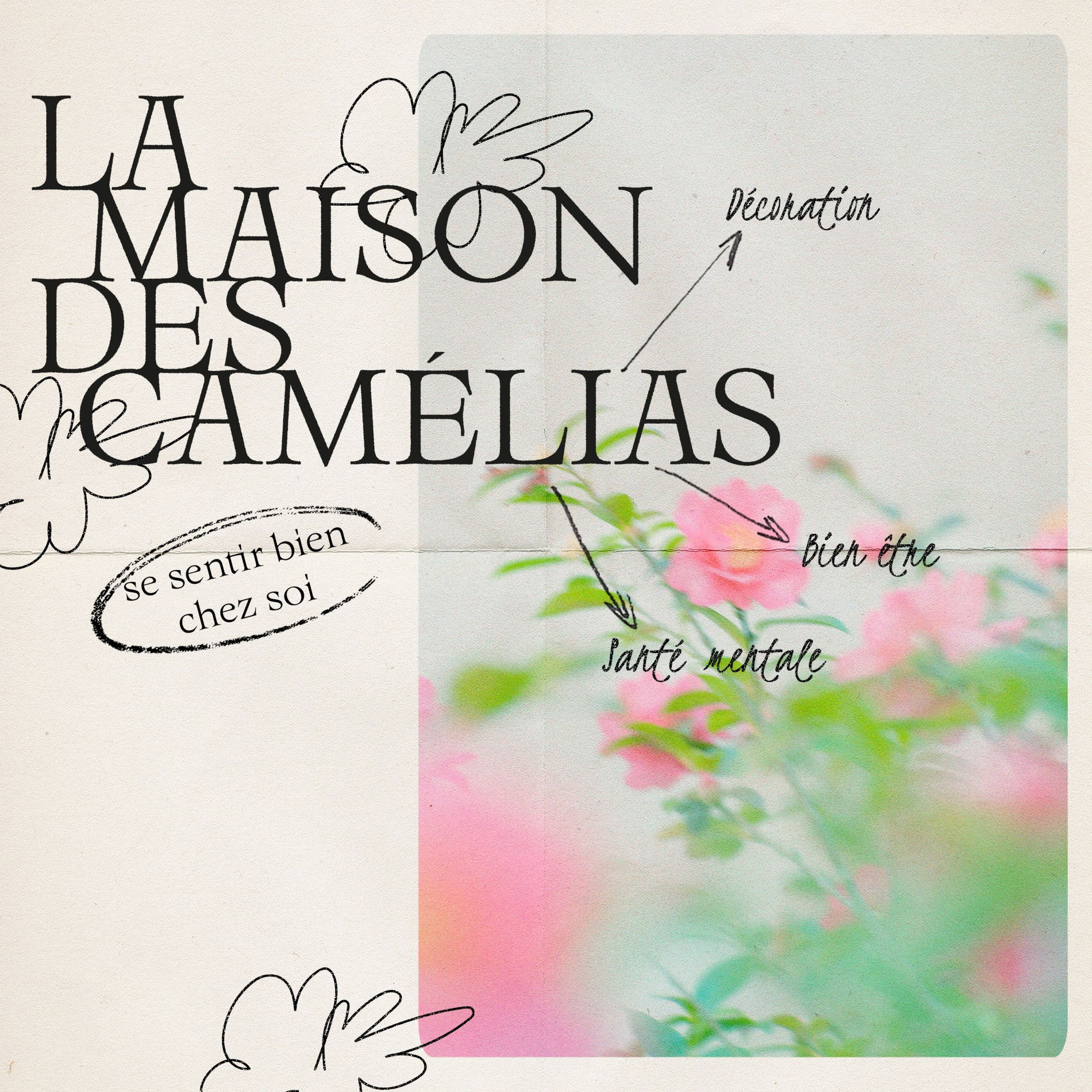 Show cover of La maison des Camélias