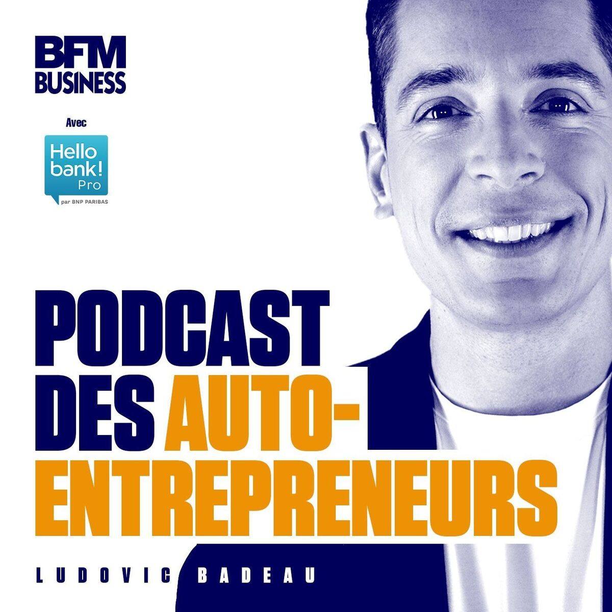 Show cover of Podcast des Auto-Entrepreneurs