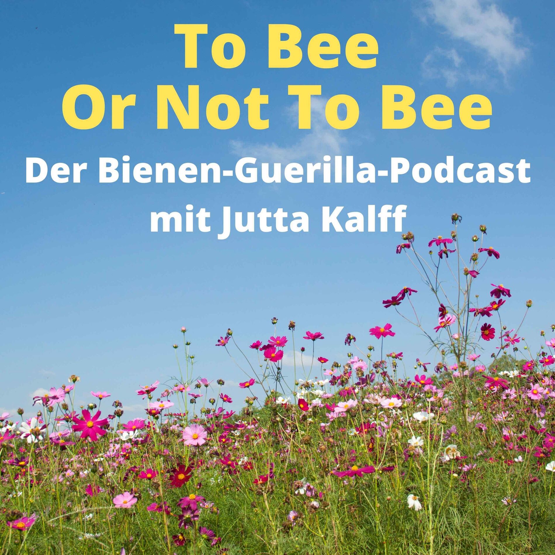 Show cover of To Bee Or Not To Bee