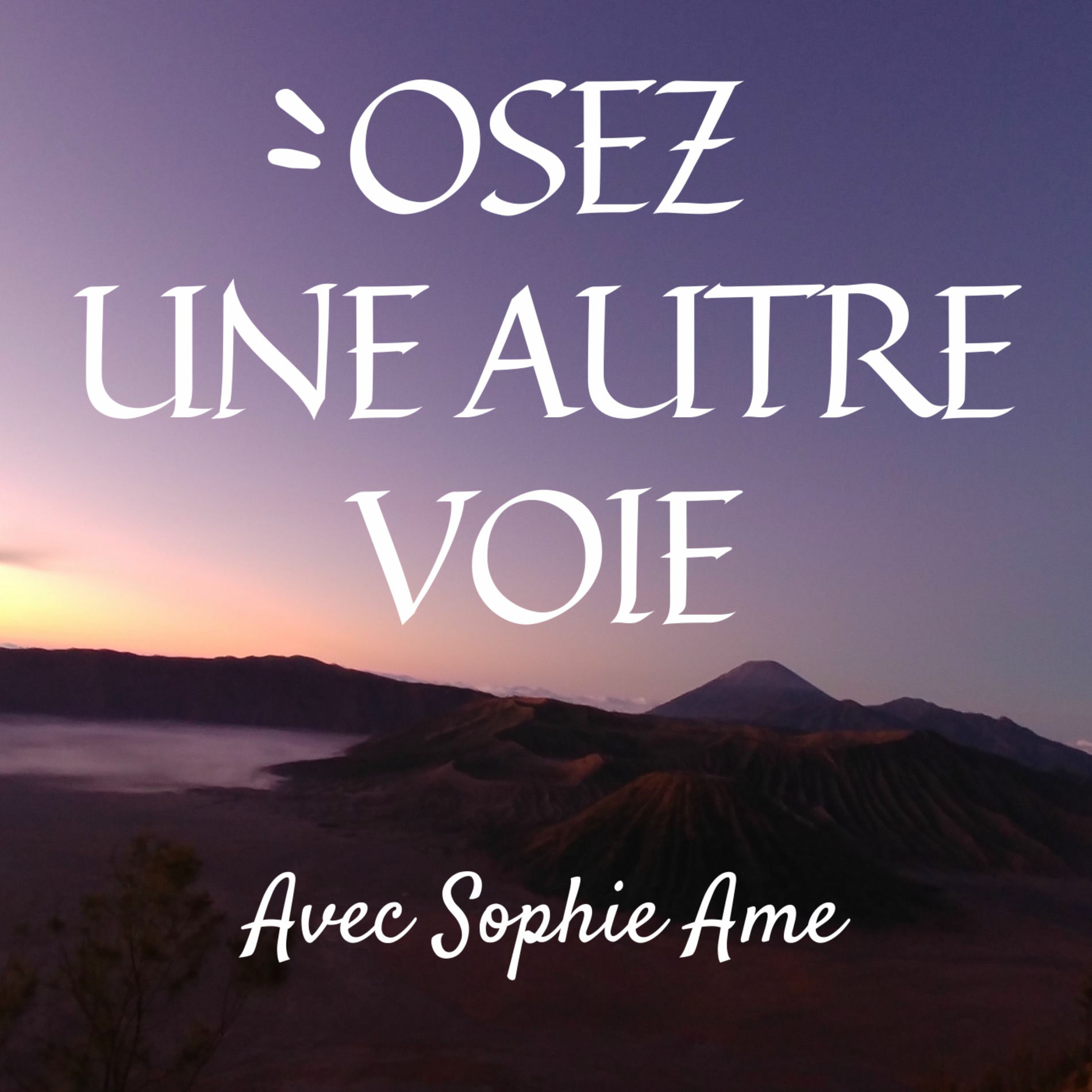 Show cover of Osez une autre voie