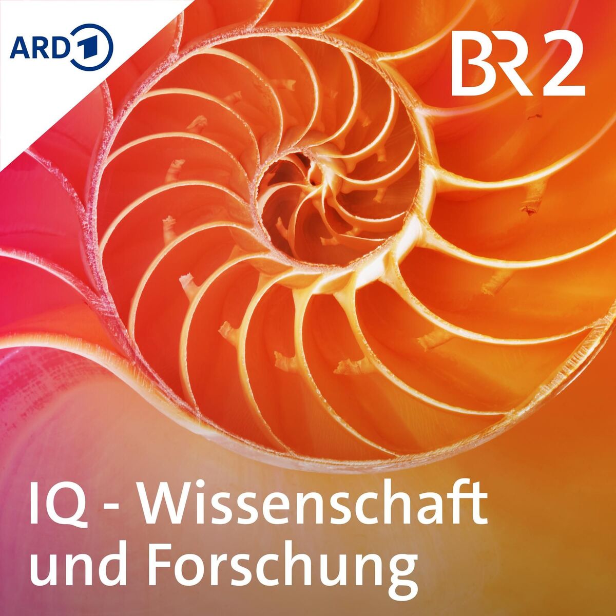 Show cover of IQ - Wissenschaft und Forschung