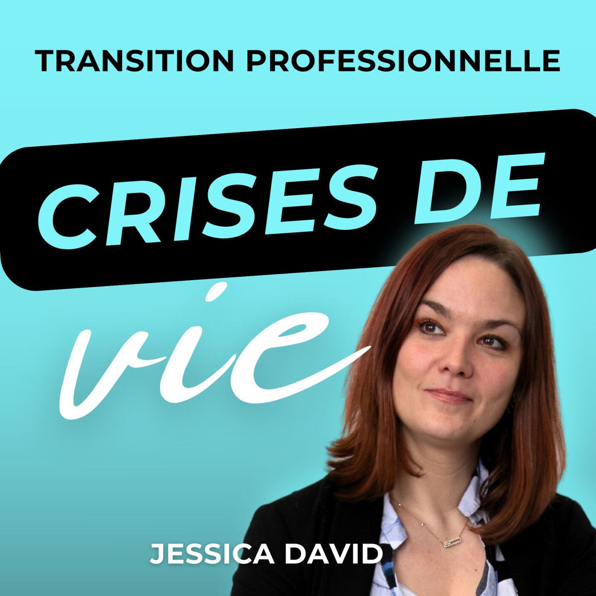 Show cover of Crises de vie & Transition professionnelle