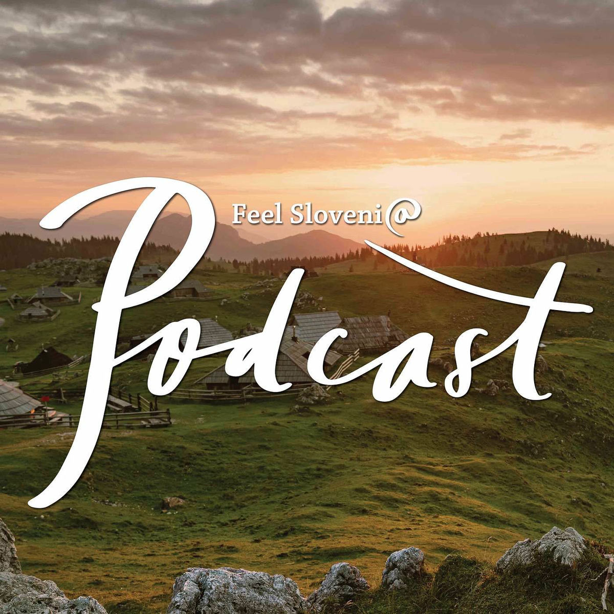 Show cover of 