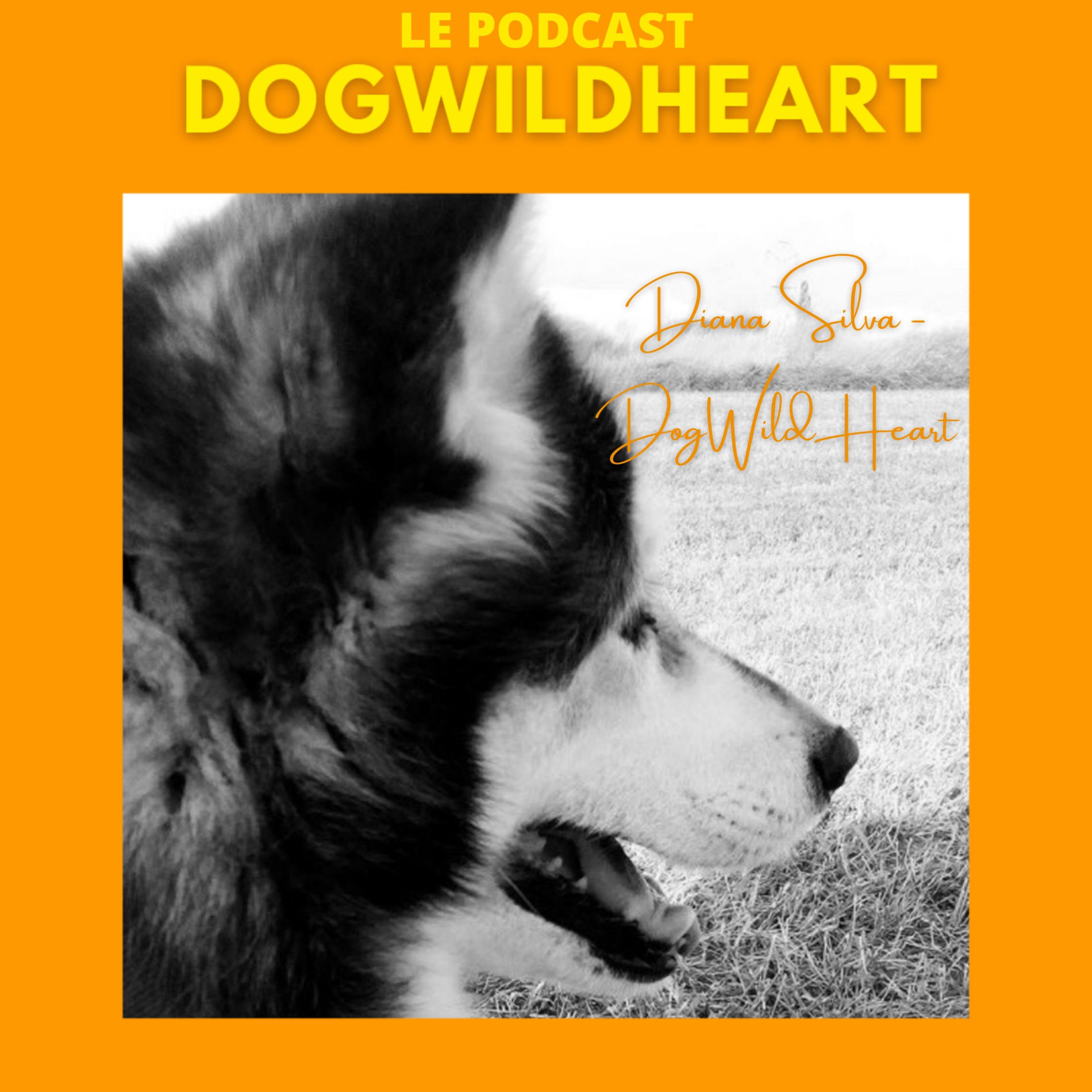 Show cover of DogWildHeart (FR)