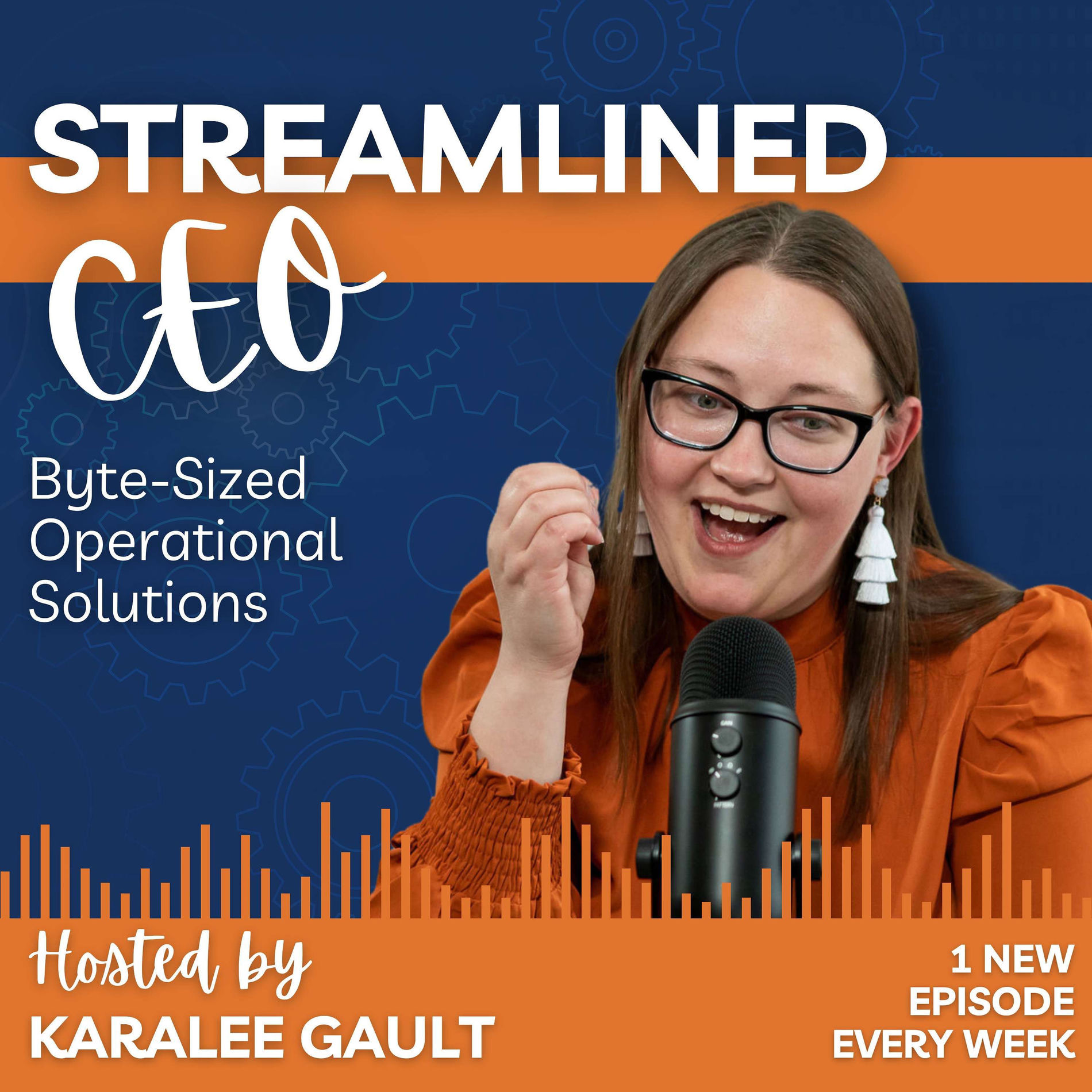 Show cover of Streamlined CEO