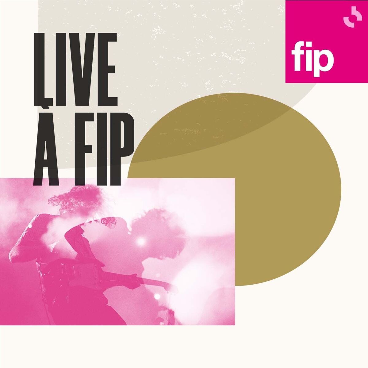 Show cover of Live à Fip