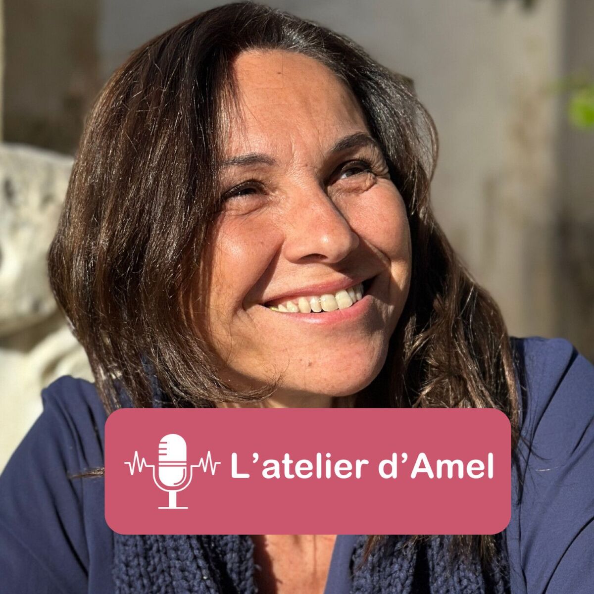Show cover of L'atelier d'Amel