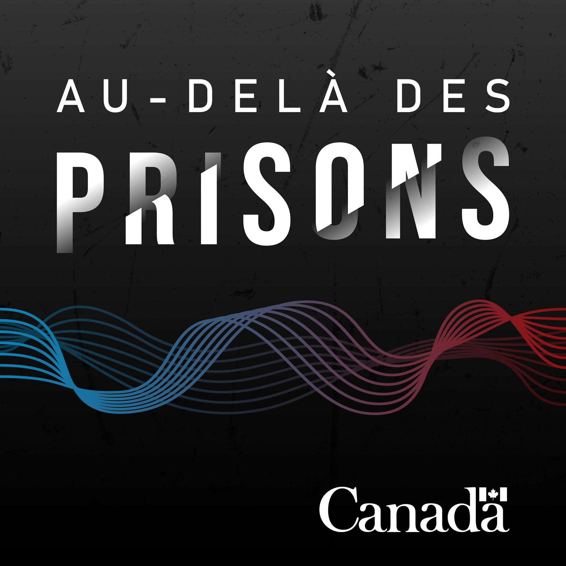 Show cover of Au-delà des prisons