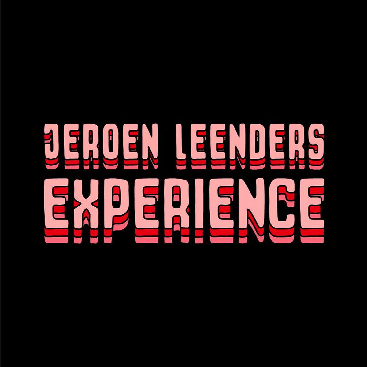 Show cover of Jeroen Leenders Experience