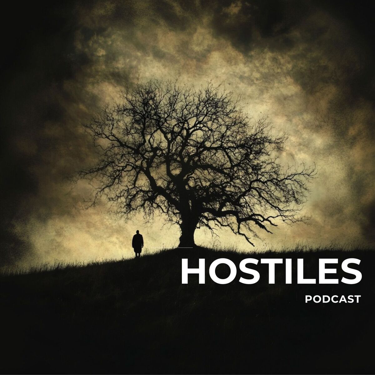 Show cover of HOSTILES PODCAST