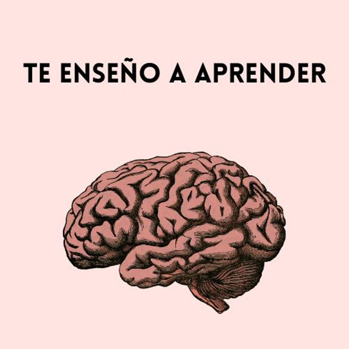 Show cover of Te enseño a aprender