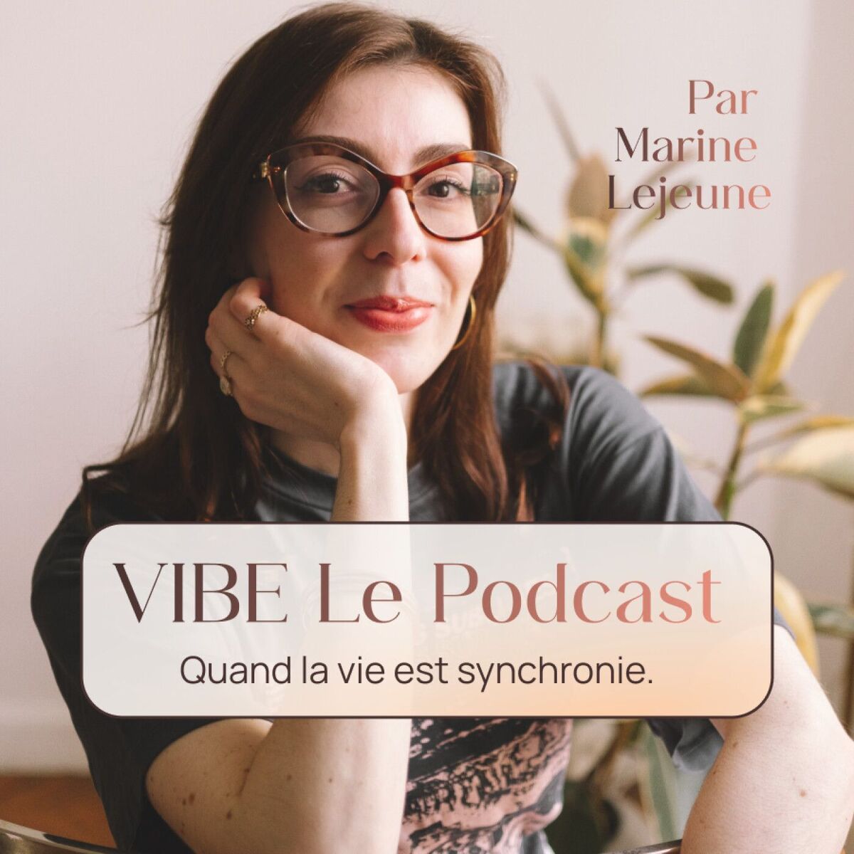 Show cover of VIBE - Quand la vie est synchronie.