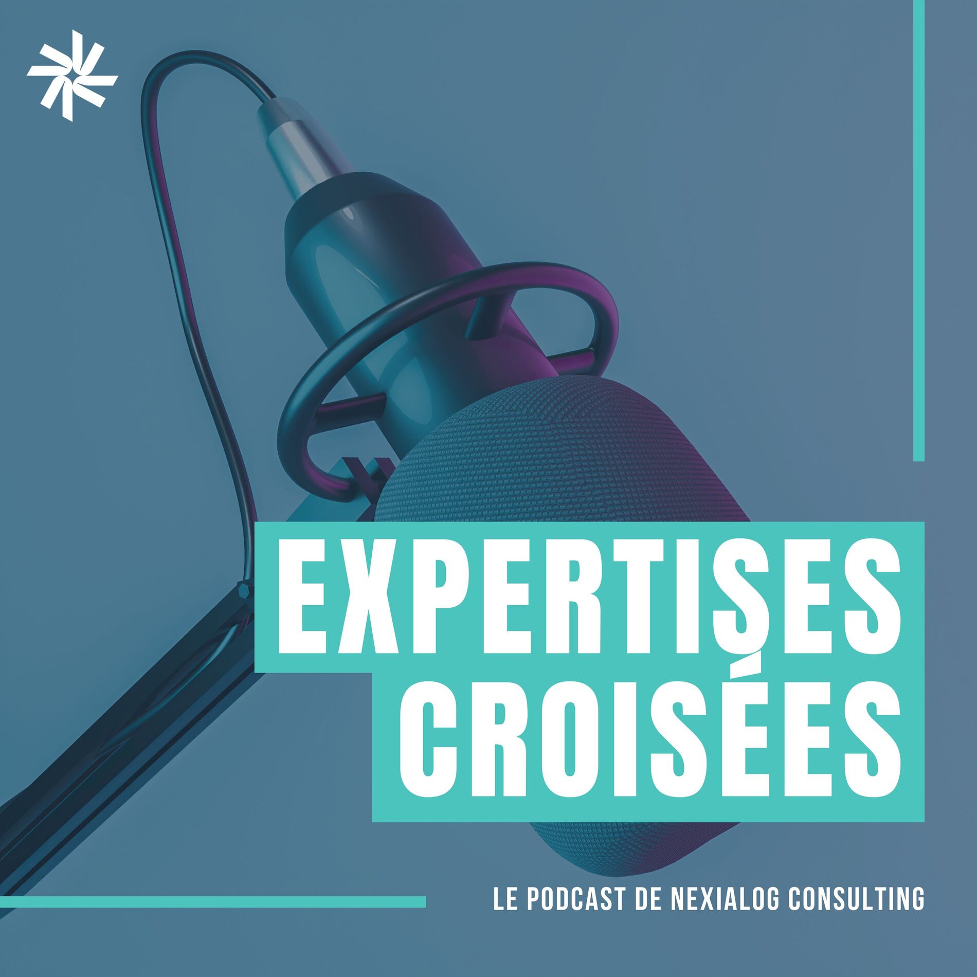 Show cover of Expertises Croisées