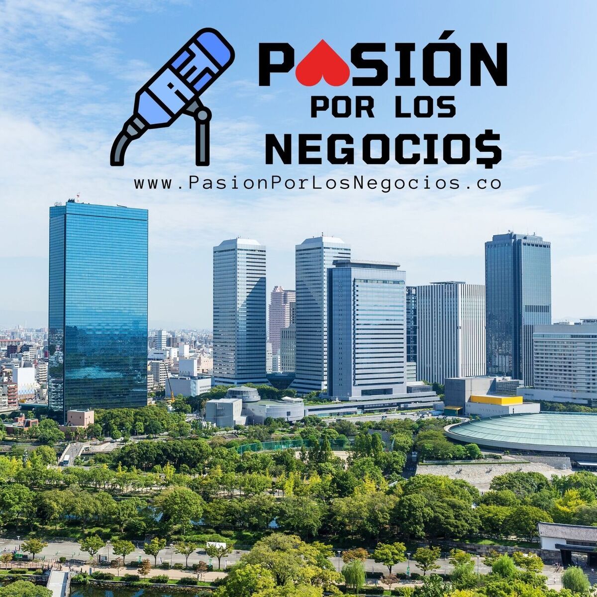 Show cover of Pasión por los Negocios